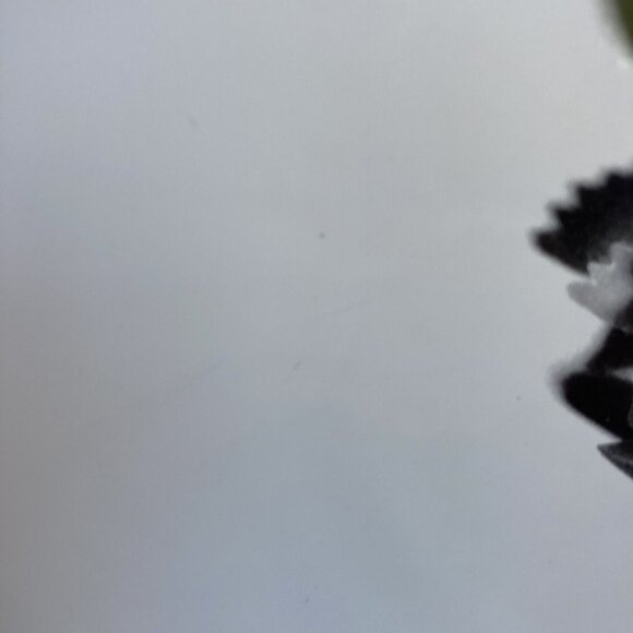 Pier 1 Imports Pasta Recipe Serving Bowl 13 in Made In Portugal READ DESCRIPTION - Picture 7 of 13